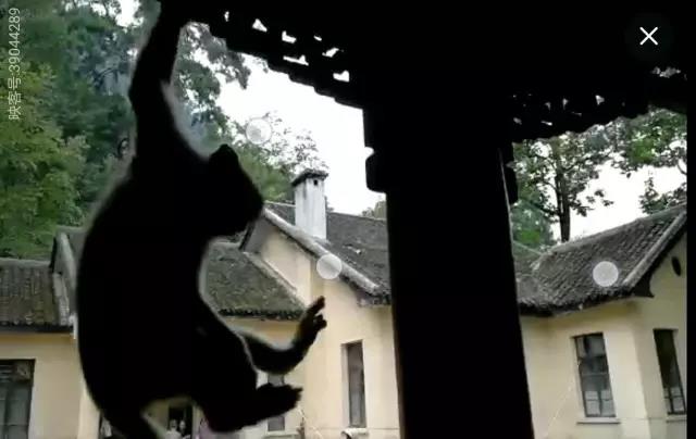 ΢ͼƬ_20170814083245.jpg