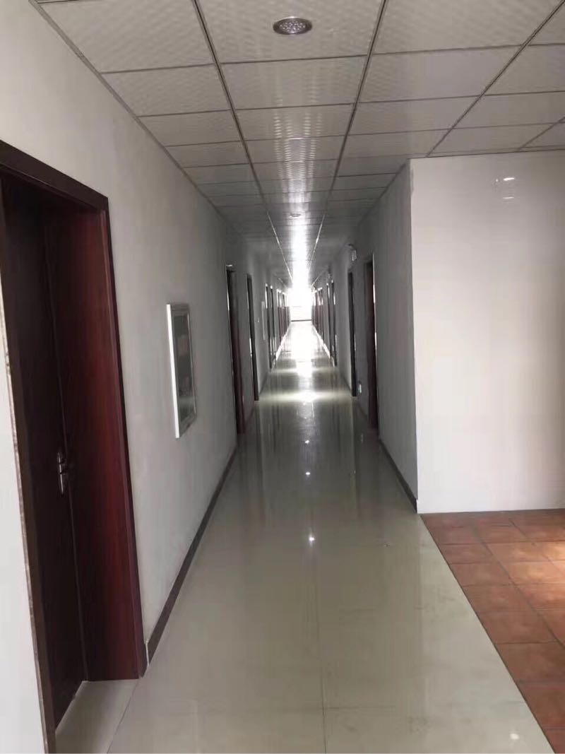 2I0D0Sxku0vc.jpg