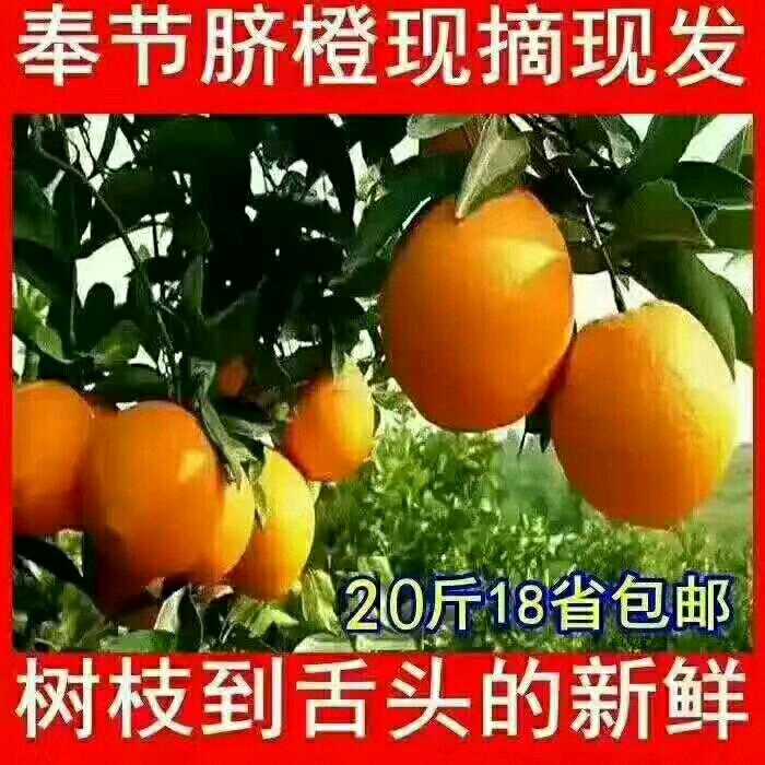 mmexport1511741267914.jpeg