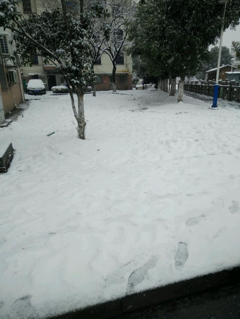 IMG20180125145054.jpeg