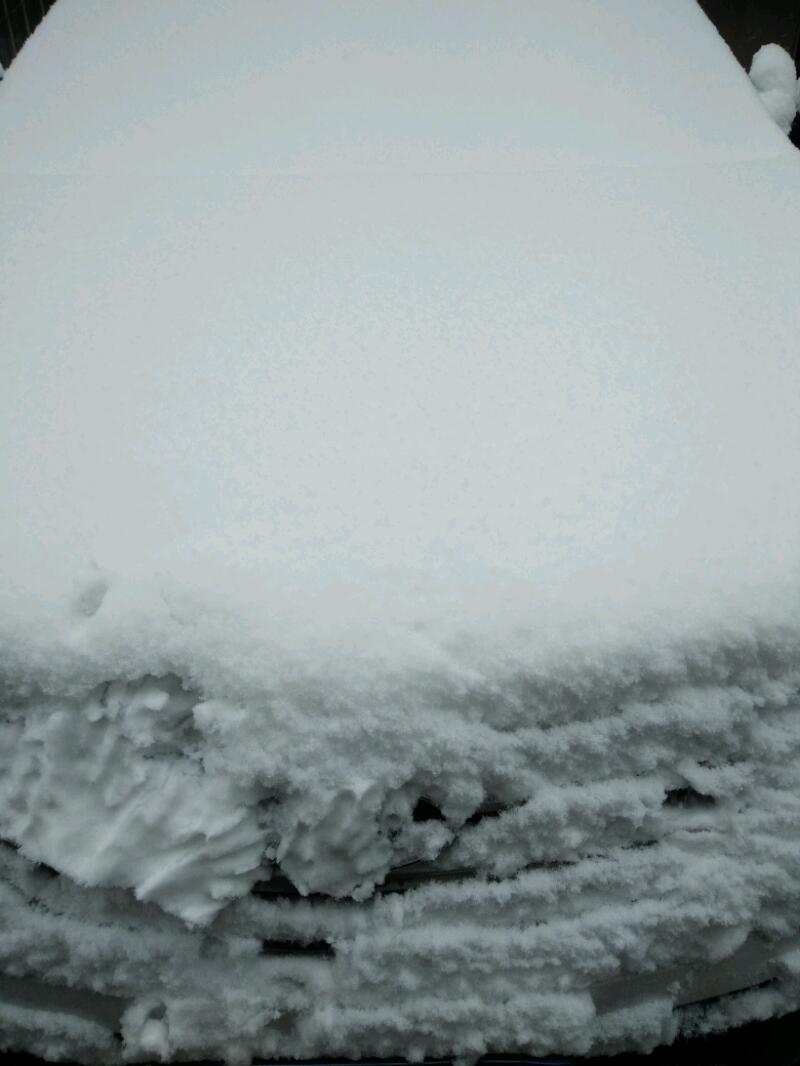 IMG20180125090849.jpeg