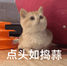 640 (1).gif