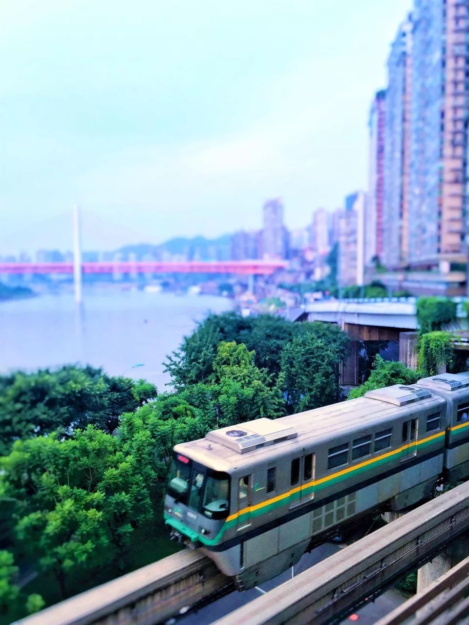 20190618_154540_006.jpg