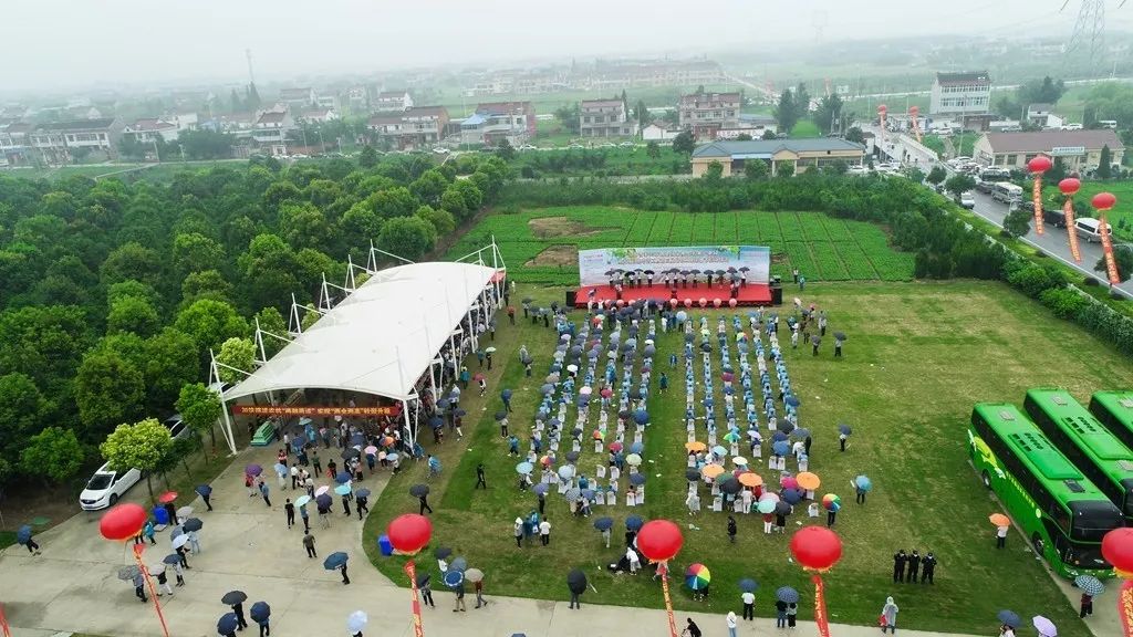 w4.jpg