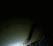 w2.jpg