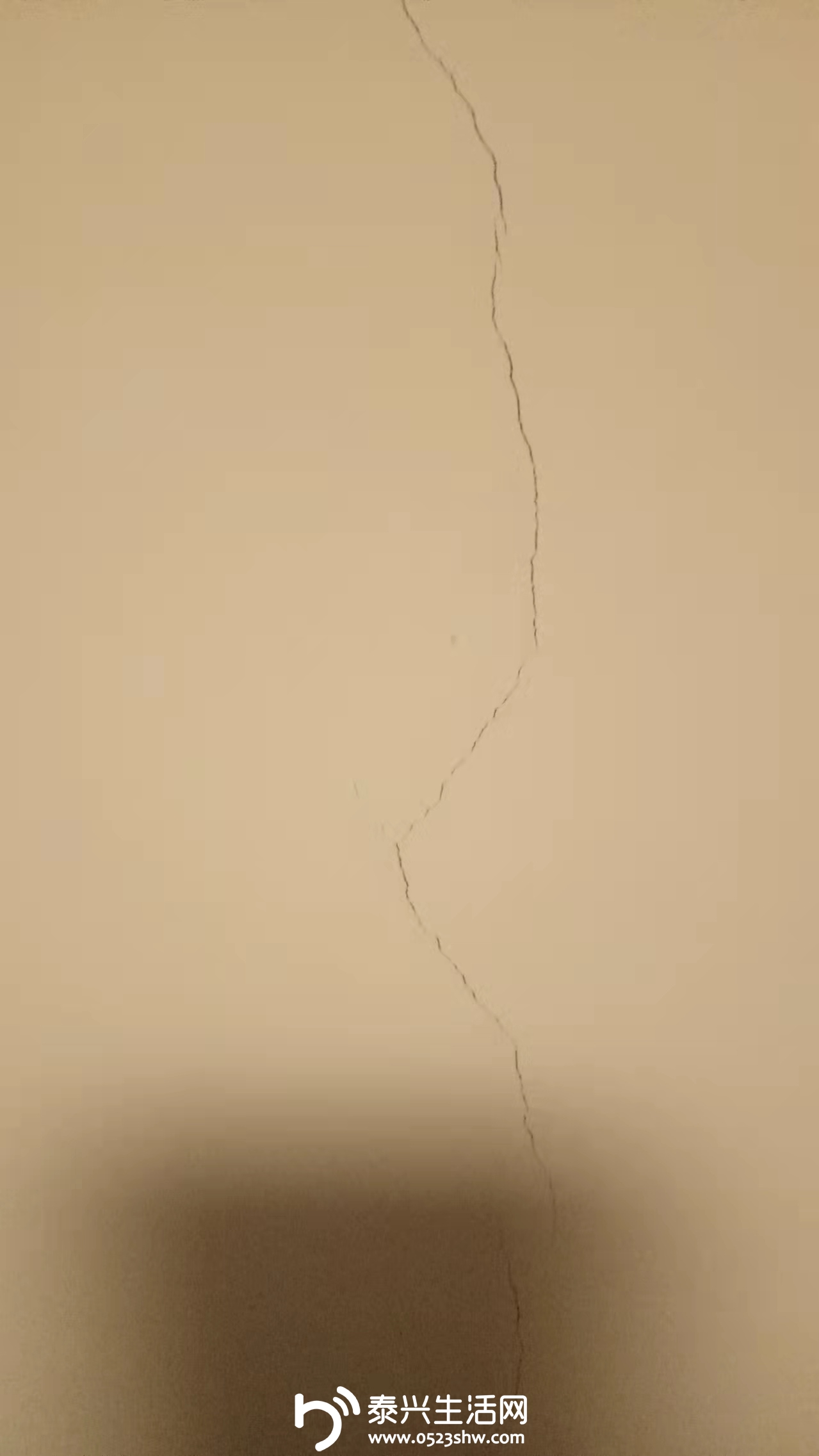 getimgdata2.jpg